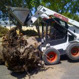 bobcat rentals
